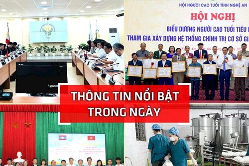 Nghệ An: Thông tin nổi bật ngày 6/11