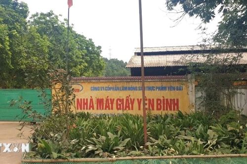 Yên Bái: Tai nạn lao động tại Nhà máy giấy Yên Bình khiến một người tử vong