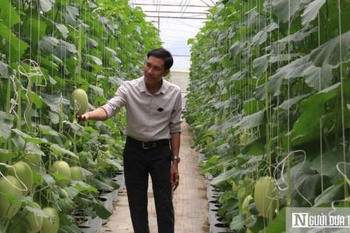 Nông nghiệp công nghệ cao 'thay da, đổi thịt' vùng biên tỉnh Đắk Nông