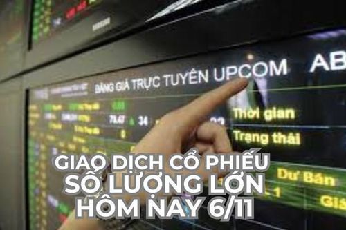 Doanh nghiệp giao dịch cổ phiếu số lượng lớn hôm nay 6/11