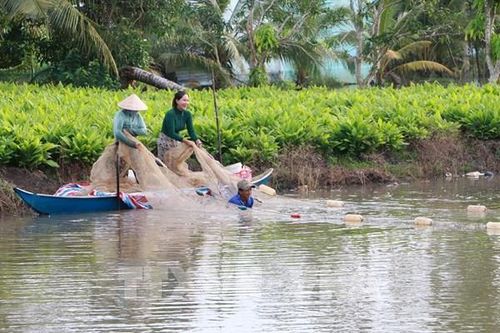 Sóc Trăng xây dựng liên kết chuỗi giá trị cá đồng