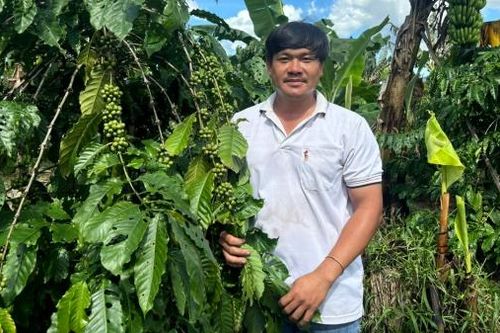 Nông dân trẻ làm vườn hữu cơ