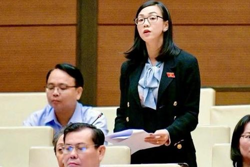 ĐBQH Trịnh Thị Tú Anh góp ý Luật Đầu tư công (sửa đổi)