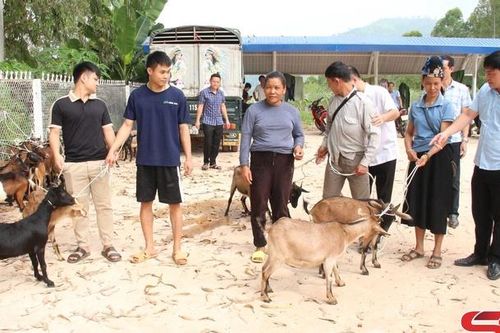 Sử dụng hiệu quả nguồn vốn chính sách vùng đồng bào dân tộc thiểu số