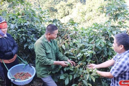 Tông Cọ khai thác tiềm năng phát triển kinh tế