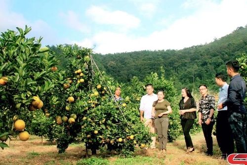 Nỗ lực về đích nông thôn mới