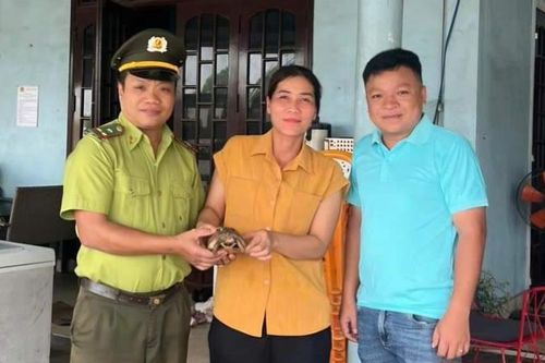 Tiếp nhận 2 cá thể động vật hoang dã quý, hiếm