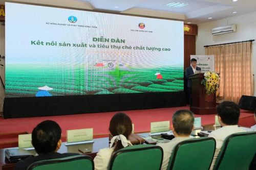 Gỡ nút thắt xuất khẩu chè giá rẻ