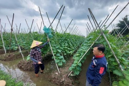 Nông nghiệp giữ vững đà tăng trưởng trong tháng 10