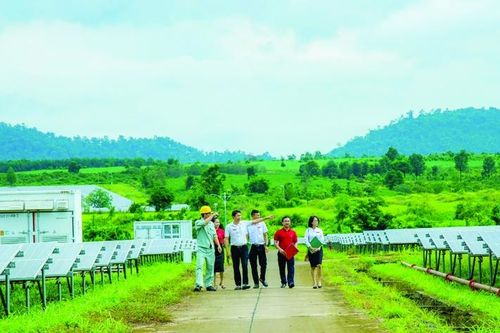 Bảo hiểm Agribank chi nhánh Đắk Lắk: 'Lá chắn' vững chắc cho nông dân và doanh nghiệp
