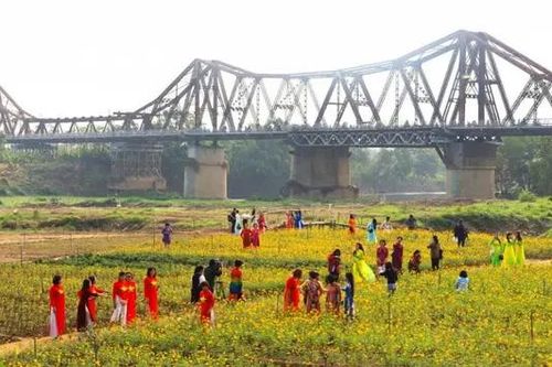 Bến hoa Phúc Xá tạm dừng đón khách đến hết 8/11