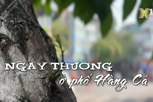 Ngày thường ở phố Hàng Cá | Nhịp sống Hà Nội | 06/11/2024
