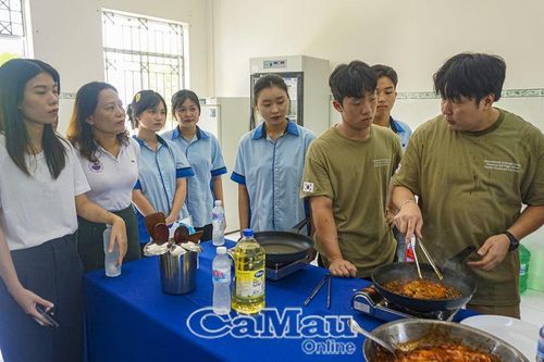Tăng cường liên kết đào tạo nghề giữa Việt Nam và Hàn Quốc