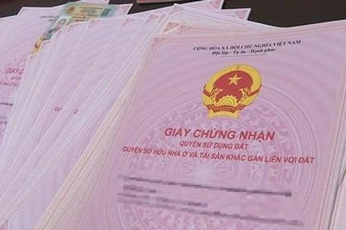 Bắt giam trưởng phòng thuộc Sở Giao thông vận tải Bà Rịa- Vũng Tàu