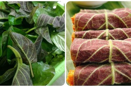 Các bài thuốc chữa bệnh từ lá mơ lông