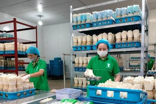 Tăng tốc phát triển nông nghiệp công nghệ cao Thủ đô