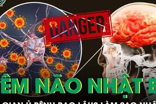 Viêm não Nhật Bản ủ bệnh trong bao lâu? Làm sao nhận biết?