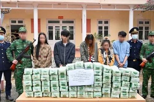 Giấu 70 kg ma túy trong các gói trà vận chuyển qua từ Lào vào Việt Nam