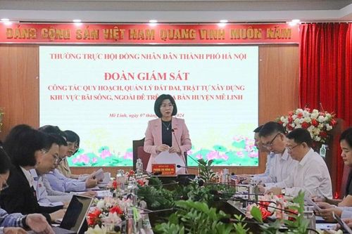 Thường trực HĐND TP giám sát việc quy hoạch, quản lý đất đai ngoài bãi sông tại Mê Linh
