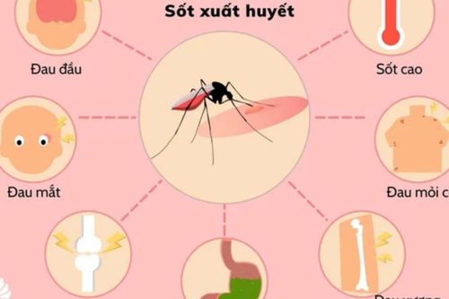 Số ca mắc sốt xuất huyết tại TP Hồ Chí Minh liên tục gia tăng