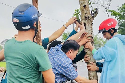 Quảng Nam dồn lực khắc phục hậu quả lũ lụt