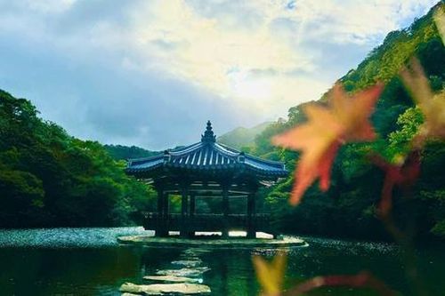 Trải nghiệm những điểm đến mới tươi đẹp của Hàn Quốc