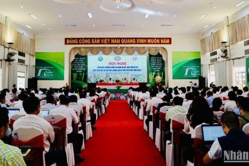 Sẵn sàng nguồn vốn ưu đãi thực hiện Đề án 1 triệu héc-ta lúa chất lượng cao, phát thải thấp