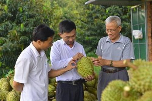 Cựu chiến binh tỉnh Lâm Đồng thi đua làm giàu
