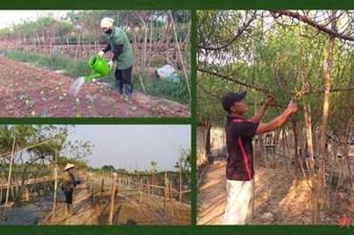 Nhật Tân: 'Nghề hoa' nơi làng cổ