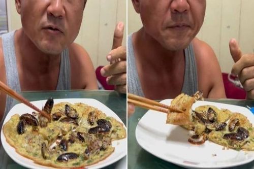 Kinh hãi các món ăn chế biến từ gián
