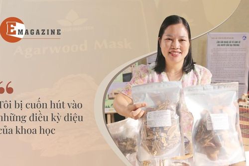 TS Nguyễn Thị Hồng Gấm: Mê tạo trầm hương từ chế phẩm sinh học