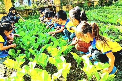 Trường học xanh kích thích học sinh sáng tạo