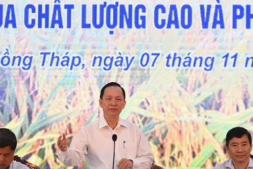 Triển khai chương trình tín dụng ưu đãi cho đề án 1 triệu ha lúa phát thải thấp