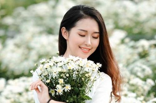 Vườn cúc họa mi hiếm hoi sống sót sau bão Yagi bung nở, khoe sắc