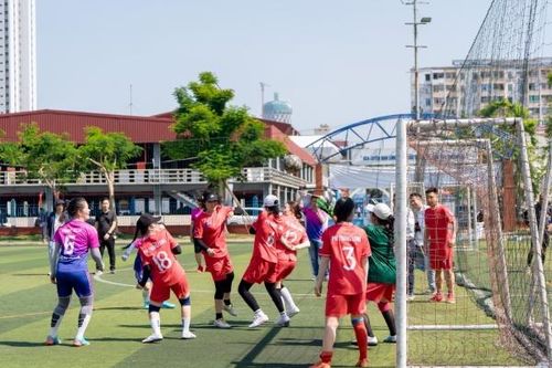 Sôi nổi Hội thao PVI khu vực phía Bắc năm 2024