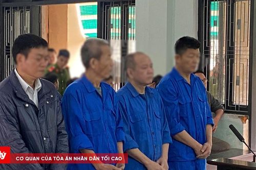 Xét xử vụ án tham ô của 'bộ sậu' Công ty 878