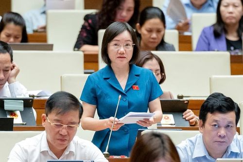 Dự thảo luật đề xuất xử lý vi phạm trong lĩnh vực kiểm toán độc lập tăng gấp 20 lần