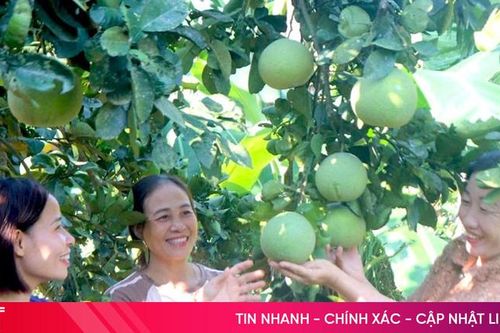Nữ trưởng thôn góp sức đưa quê nghèo thành khu dân cư mẫu