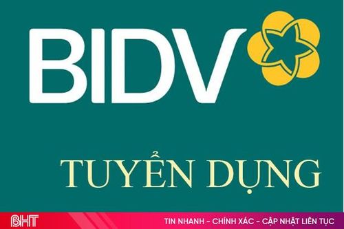 Ngân hàng BIDV – Chi nhánh Nam Hà Tĩnh tuyển dụng lao động
