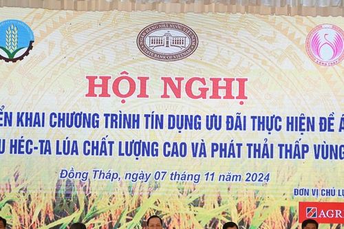 Cho vay vốn không thế chấp với doanh nghiệp thuộc Đề án 1 triệu ha lúa