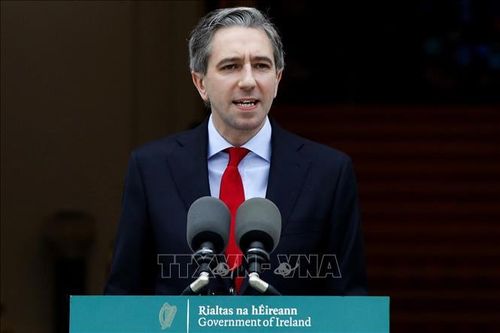 Ireland xúc tiến tổ chức tổng tuyển cử sớm