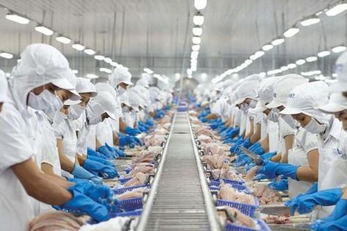 Gần 200 tỷ đồng sắp rót về tài khoản Chủ tịch Vĩnh Hoàn Trương Thị Lệ Khanh
