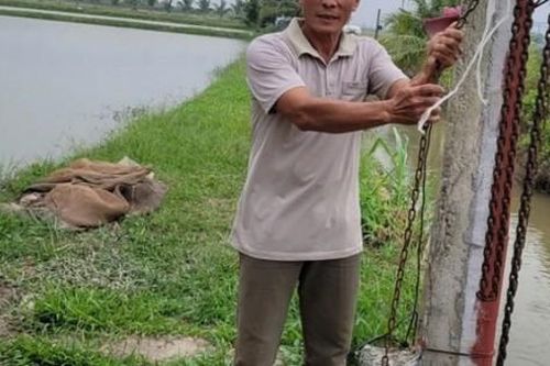 Nuôi con đặc sản 'trời cho', anh nông dân Hải Phòng thu cả tỷ đồng/năm
