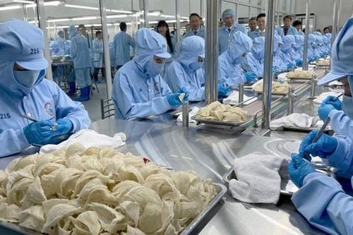 Yến sào Khánh Hòa muốn giảm kế hoạch lợi nhuận 2024
