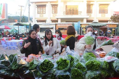 Quảng bá, tôn vinh rau - hoa Đà Lạt 'kết tinh kỳ diệu từ đất lành'
