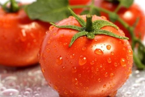 Mẹo chọn cà chua an toàn và bảo quản đúng cách