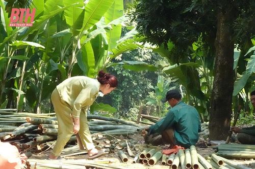 Thấp thỏm cây trồng chủ lực