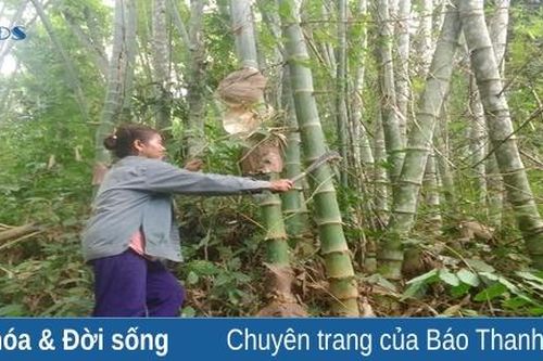 Tam Lư nỗ lực giảm nghèo bền vững