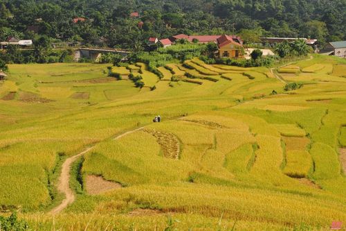 Pù Luông - Mùa đông ngủ yên trên triền núi