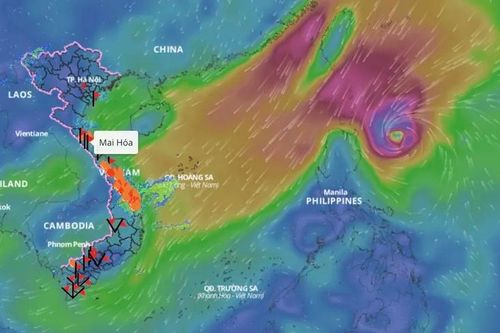 Công điện chỉ đạo ứng phó BÃO YINXING